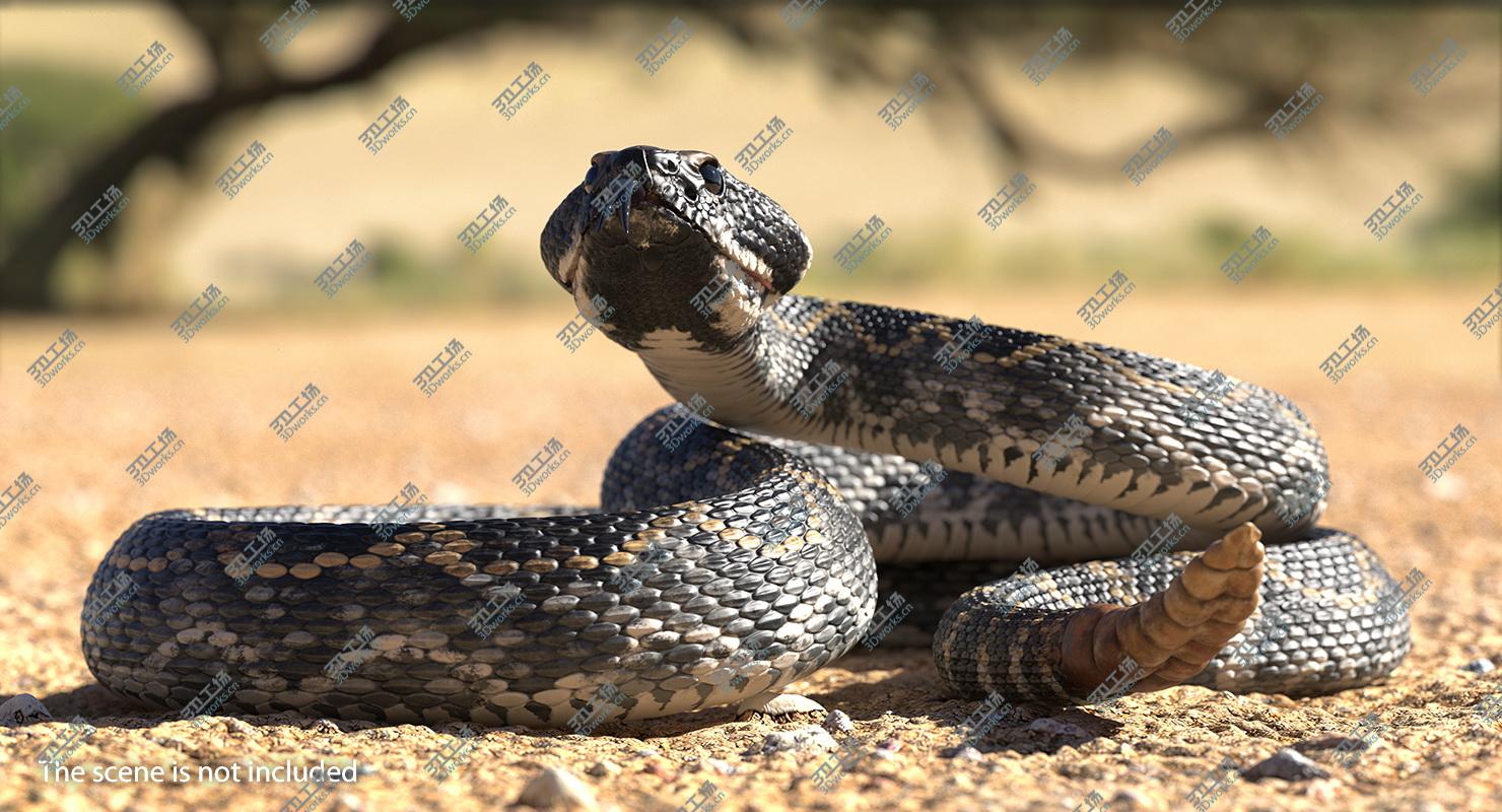 images/goods_img/2021040163/Dark Rattlesnake 3D Model 3D model/5.jpg